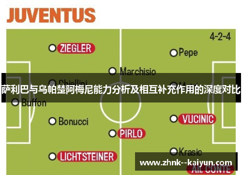 萨利巴与乌帕楚阿梅尼能力分析及相互补充作用的深度对比